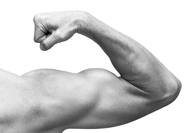 Did You Know… You Don’t Have To FLEX Anymore!