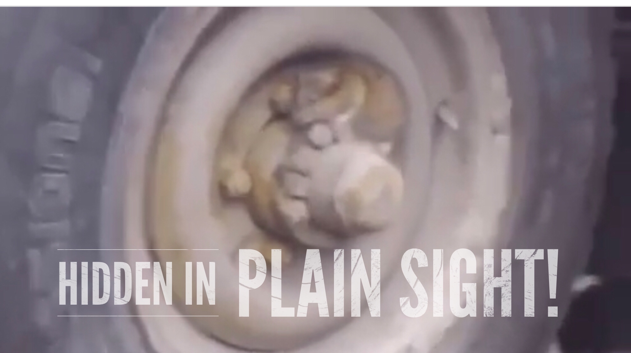 Hidden In Plain Sight…